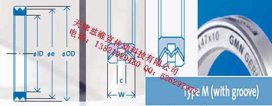 GMNM20X28X10油封圖紙